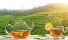 Sri Lanka holiday package Nuwara eliya Tea estate with tea cups
