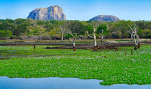 Sri Lanka Vacation - National Park View