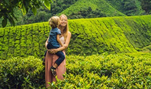 Sri Lanka Vacation 15days - ceylon tea