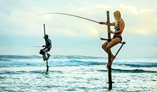 olanka travels sri lanka 5 days tour itineraries stilt fishing experience